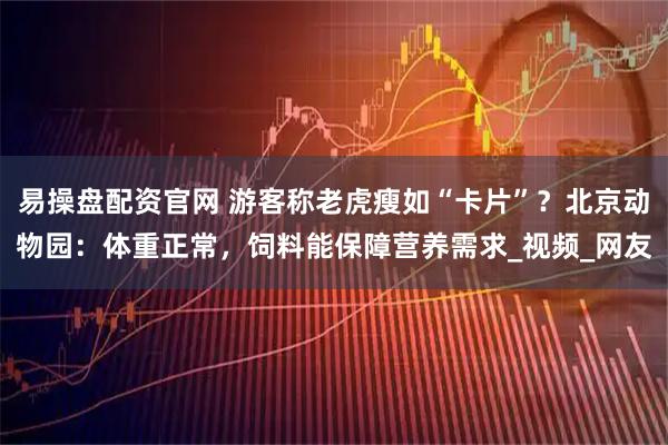 易操盘配资官网 游客称老虎瘦如“卡片”？北京动物园：体重正常，饲料能保障营养需求_视频_网友