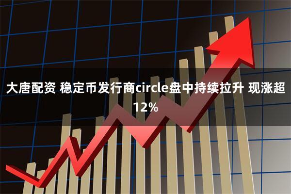 大唐配资 稳定币发行商circle盘中持续拉升 现涨超12%